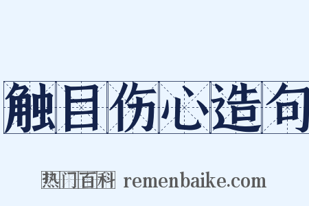 触目伤心造句是什么意思的图片